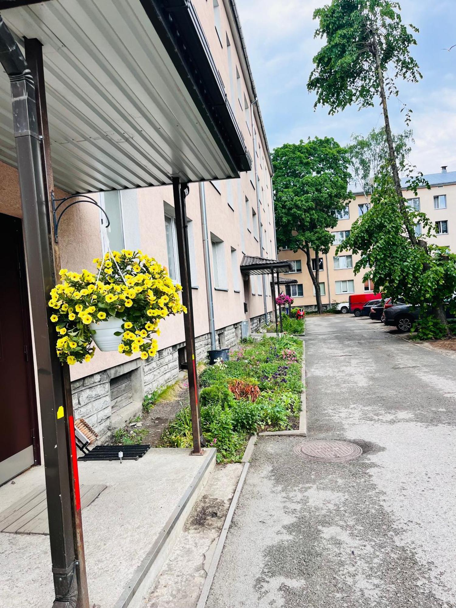 Tallinnhousing Studio For 4 With Free Parking エクステリア 写真